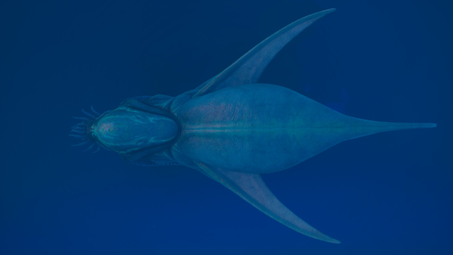 ④コレクター・リヴァイアサン（Collector Leviathan）の背面の画像