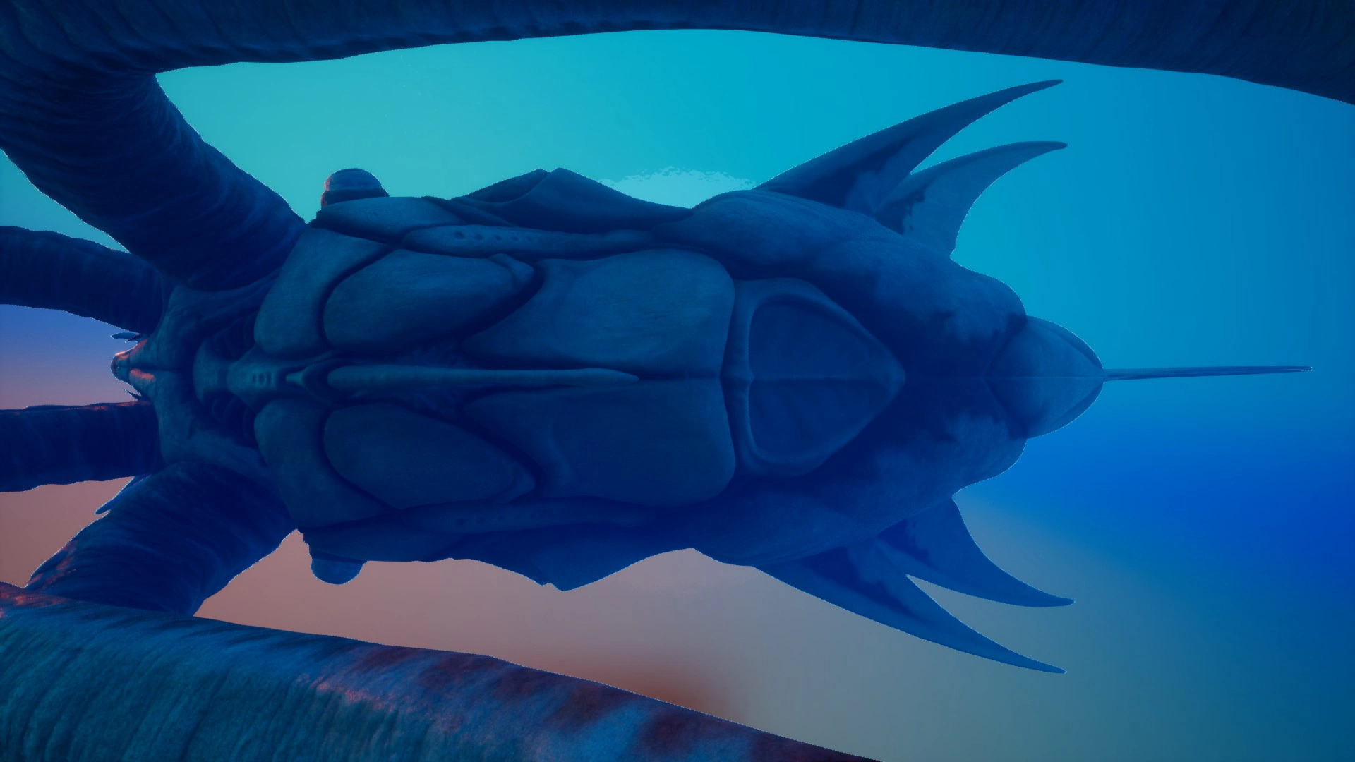 ⑤コレクター・リヴァイアサン（Collector Leviathan）の腹面の画像