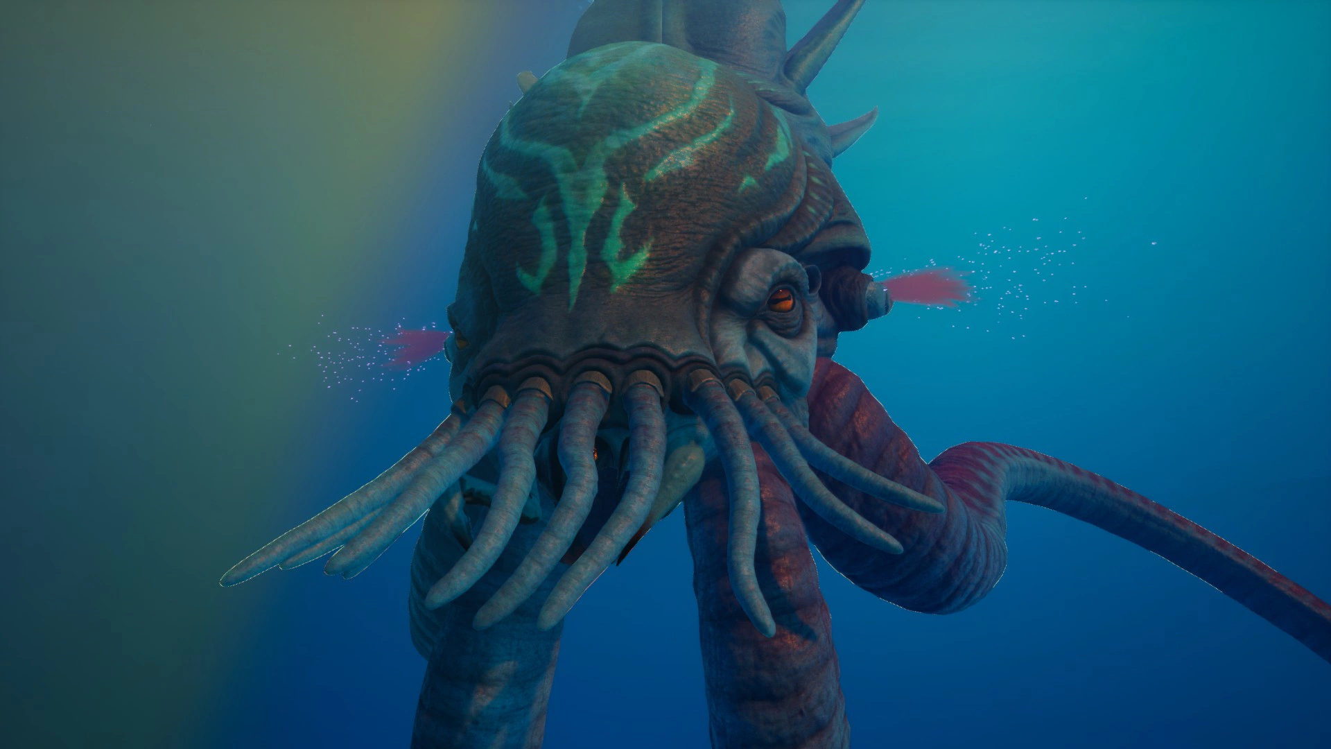 ⑭コレクター・リヴァイアサン（Collector Leviathan）の呼吸孔の画像