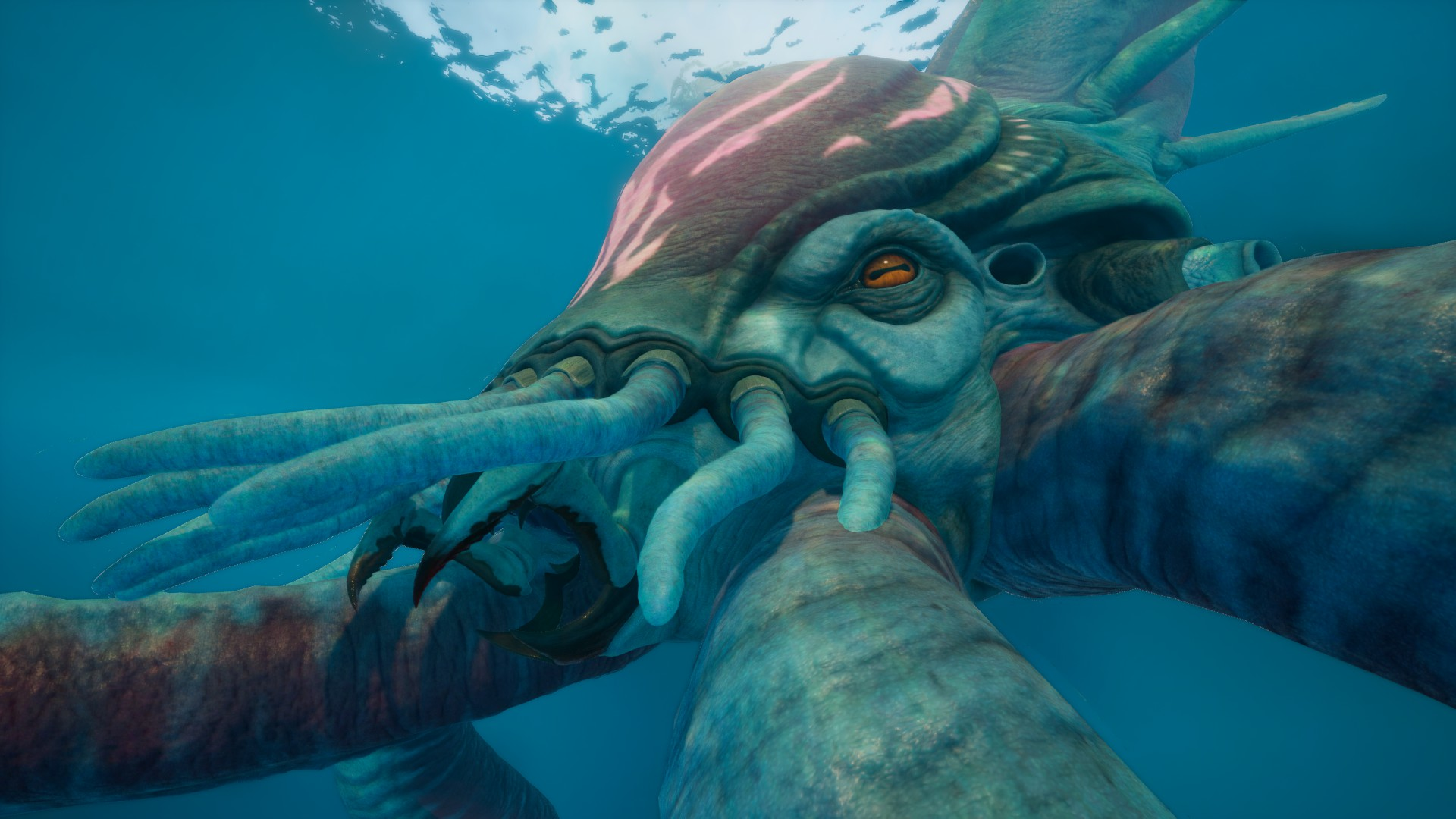 ㉔コレクター・リヴァイアサン（Collector Leviathan）の頭部の画像