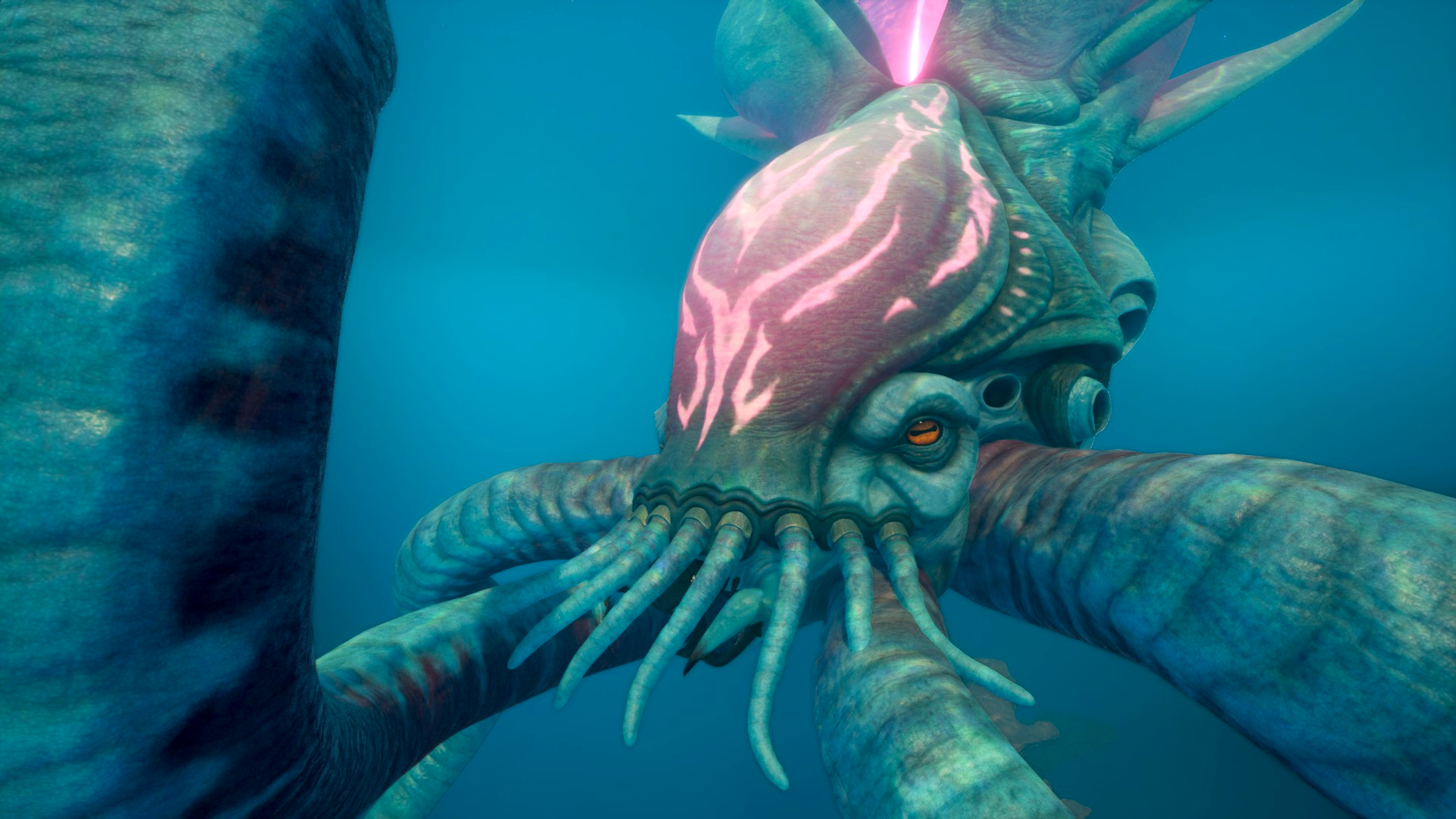 コレクター・リヴァイアサン（Collector Leviathan）の画像