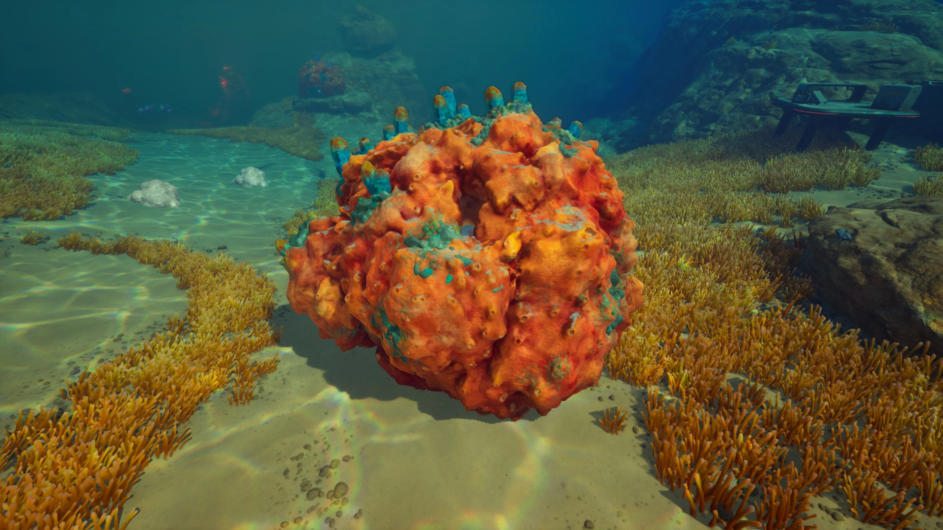 ⑦サンゴガニ（Coral Crab）の擬態している様子の画像