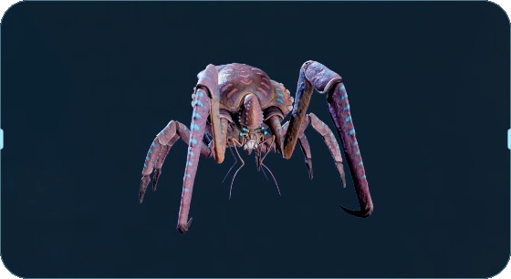 サンゴガニ（Coral Crab）のPDA画像