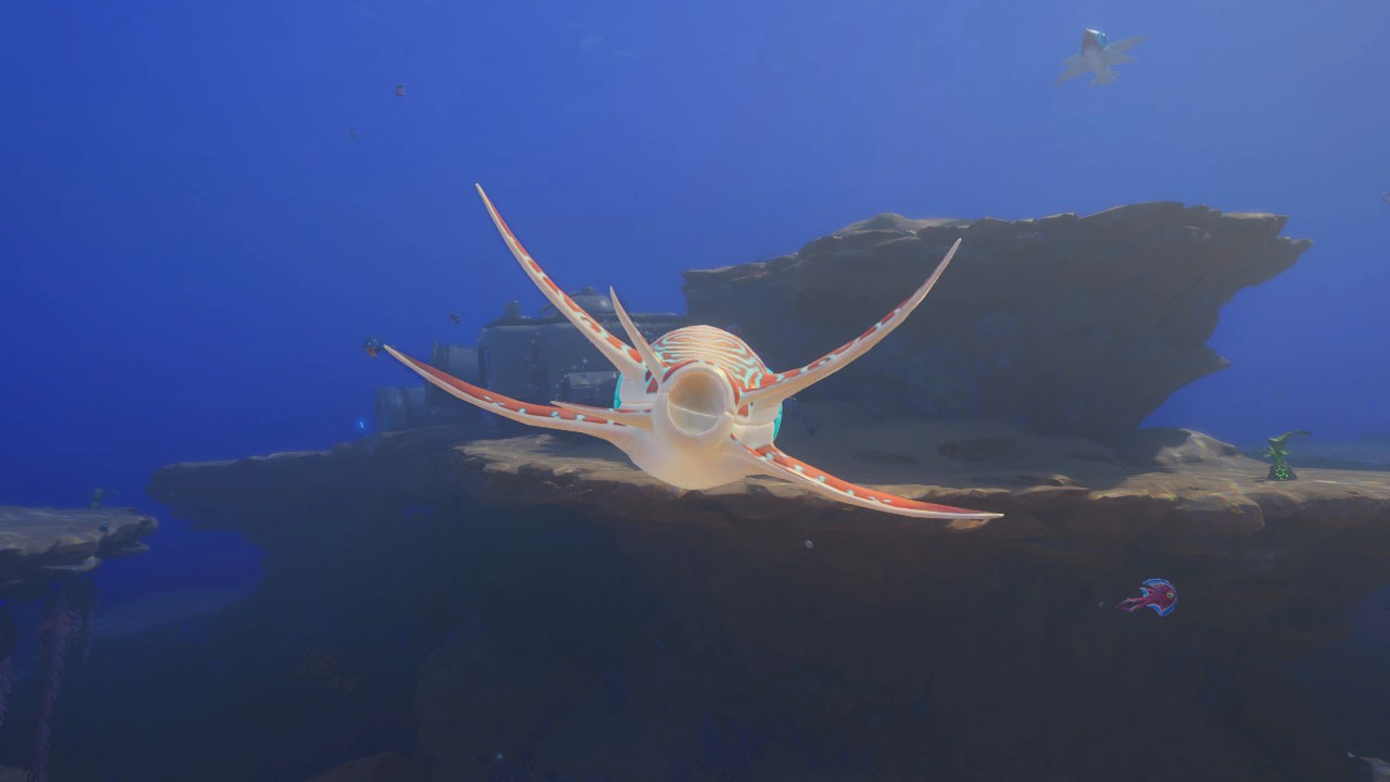 ③フォーアイ（Foureye）の後面の画像
