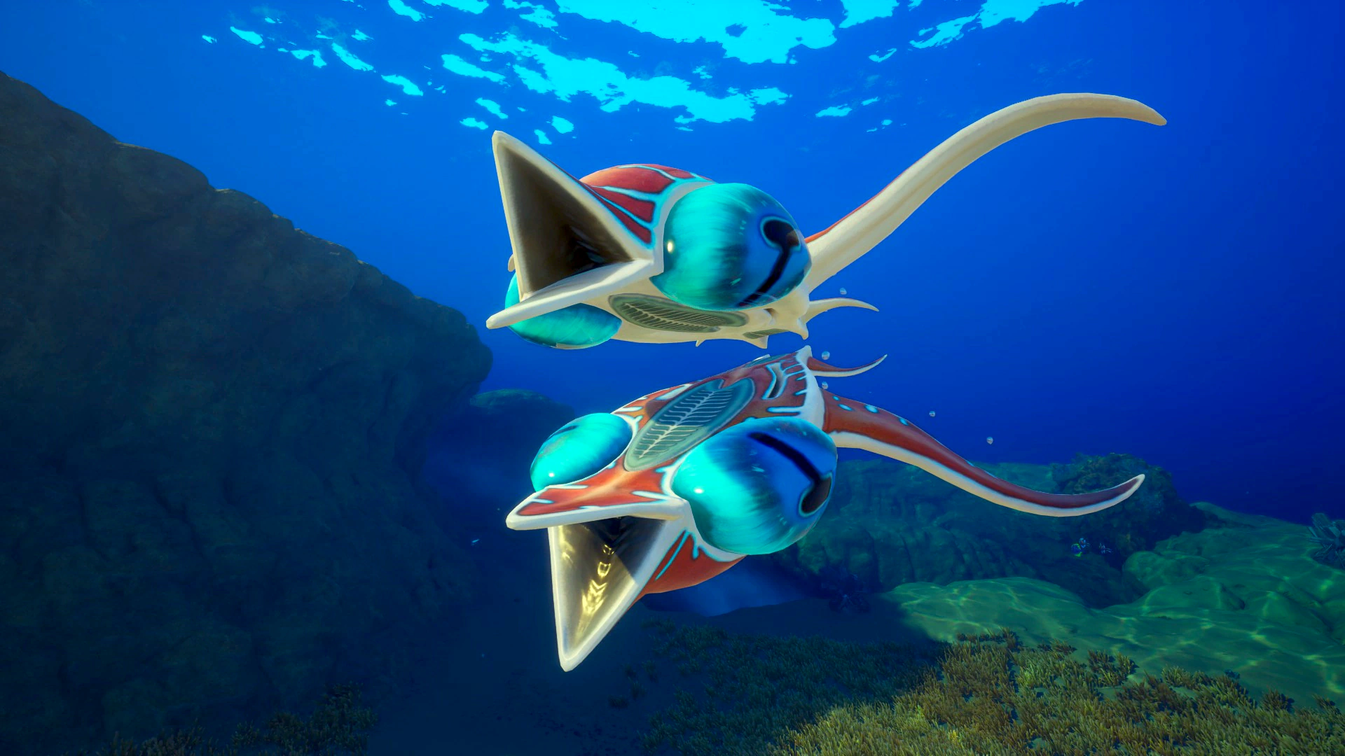 フォーアイ（Foureye）の画像
