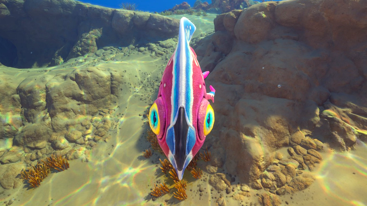 ハーフムーン（Halfmoon）の正面の画像