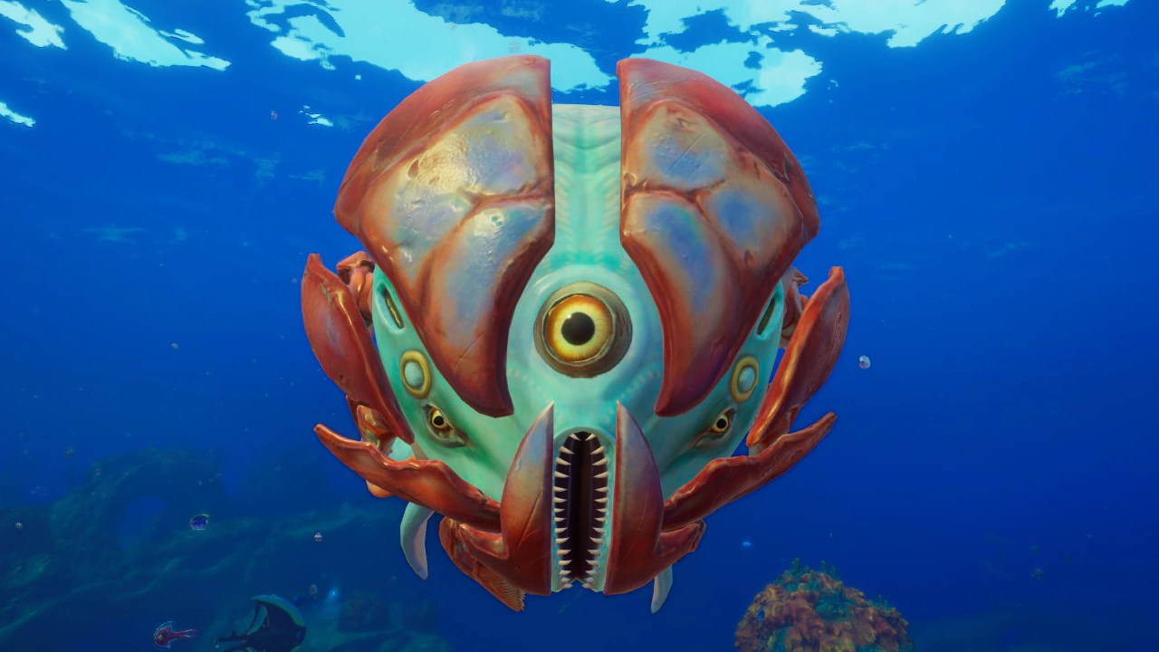 ①ハンマーヘッド（Hammerhead）の正面の画像