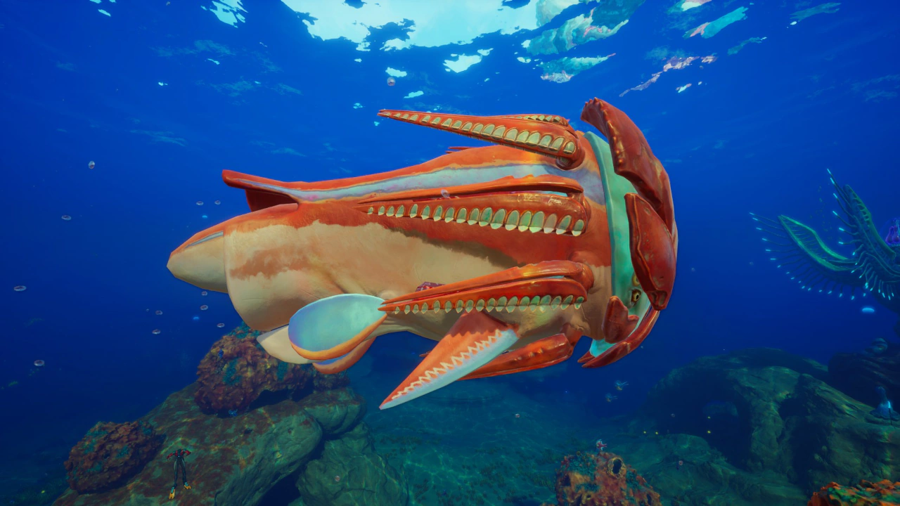 ②ハンマーヘッド（Hammerhead）の側面の画像