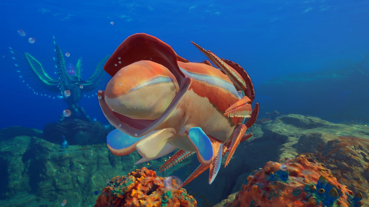 ③ハンマーヘッド（Hammerhead）の後ろ側の画像