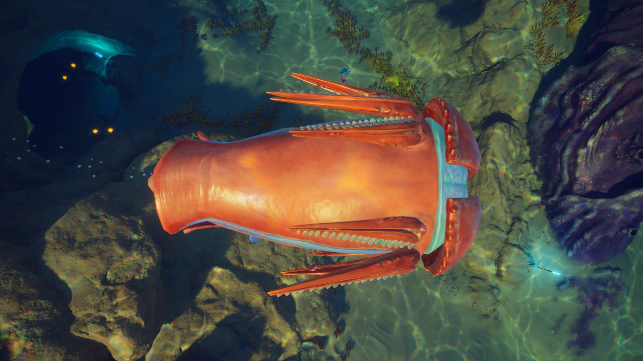 ④ハンマーヘッド（Hammerhead）の背面の画像