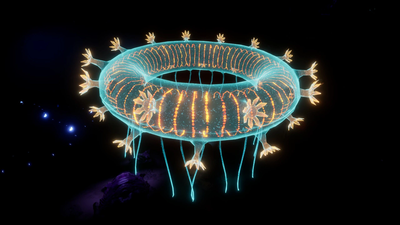 ゼリー・リング（Jelly Ring）
