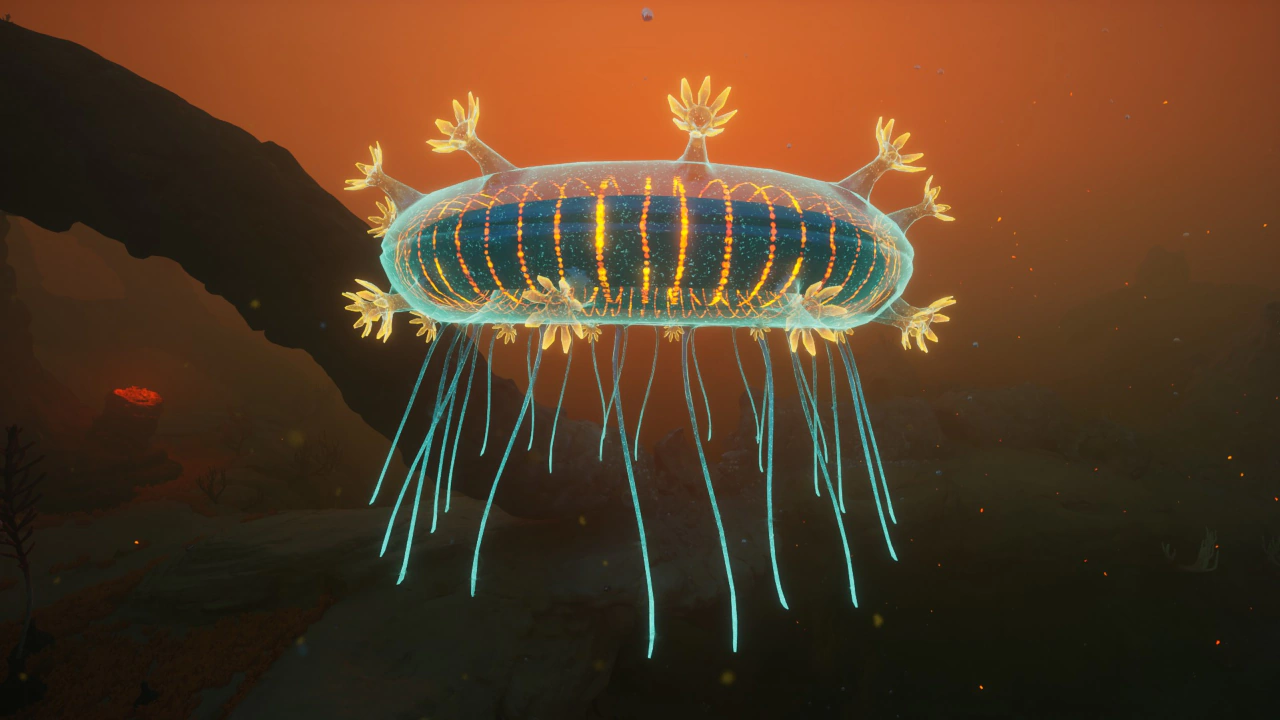②ゼリー・リング（Jelly Ring）の側面の画像