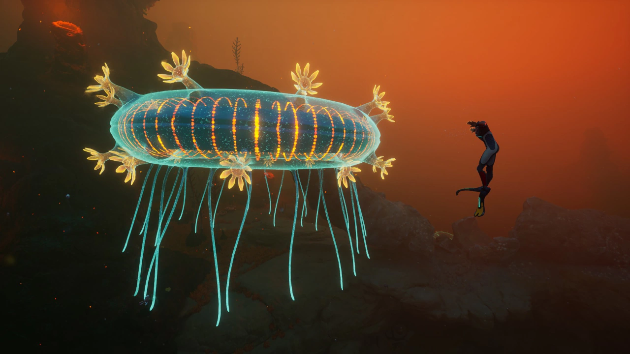 ⑤ゼリー・リング（Jelly Ring）のプレイヤーとのサイズ比較の画像