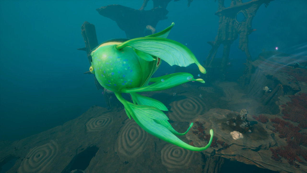 プネウマ（Pneuma）の尾ビレの画像