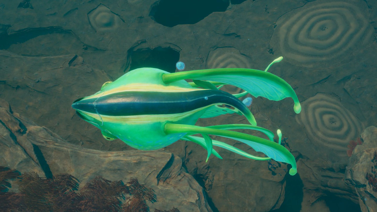 プネウマ（Pneuma）の背面の画像