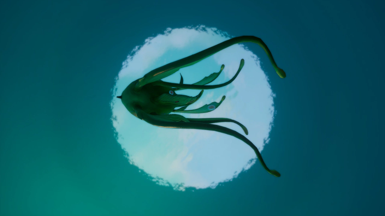 プネウマ（Pneuma）の腹面の画像