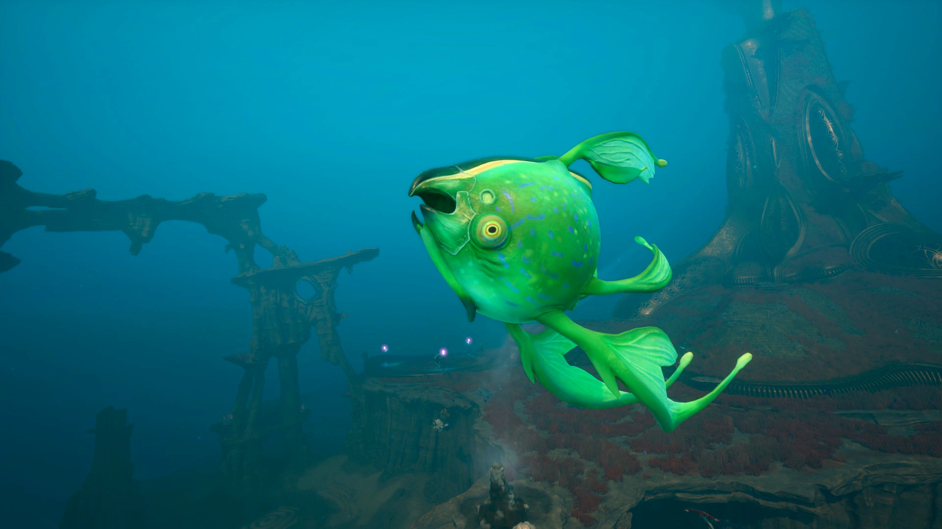 プネウマ（Pneuma）の画像