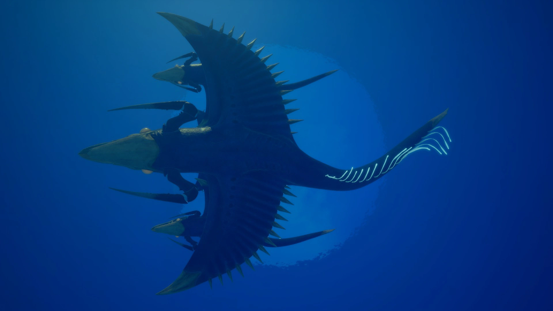 ⑥シヴァー・リヴァイアサン（Shiver Leviathan）の腹面の画像