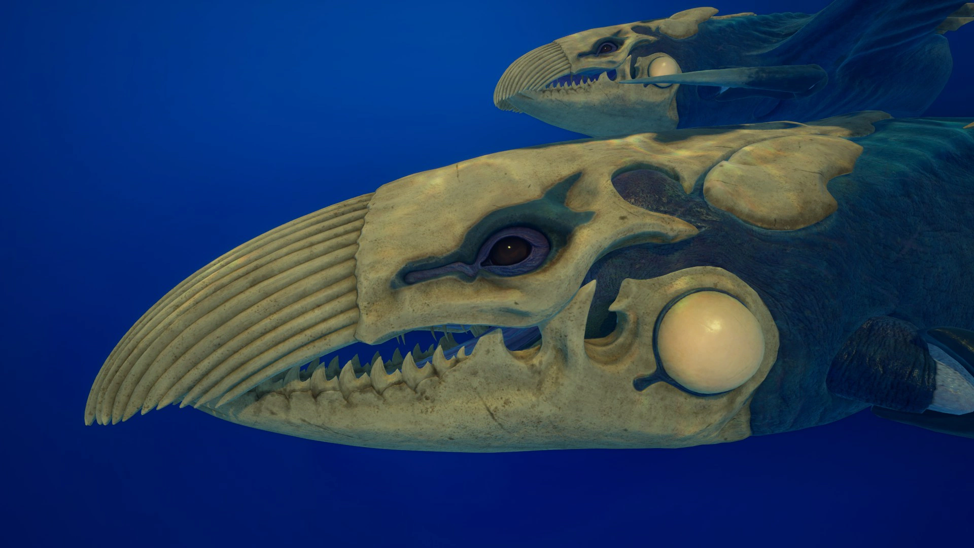 ⑦シヴァー・リヴァイアサン（Shiver Leviathan）の頭部の画像