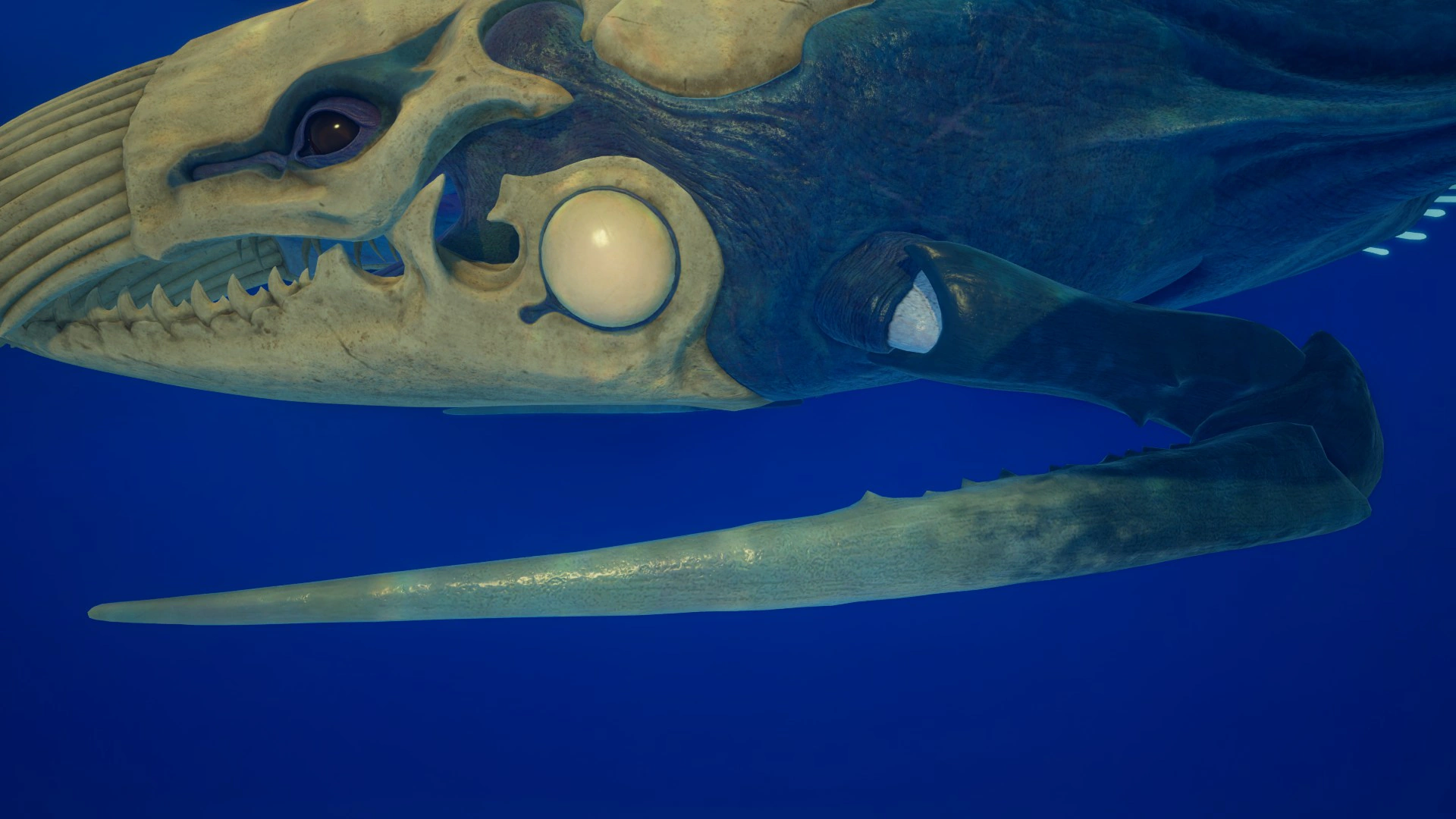 ⑧シヴァー・リヴァイアサン（Shiver Leviathan）の前肢の画像