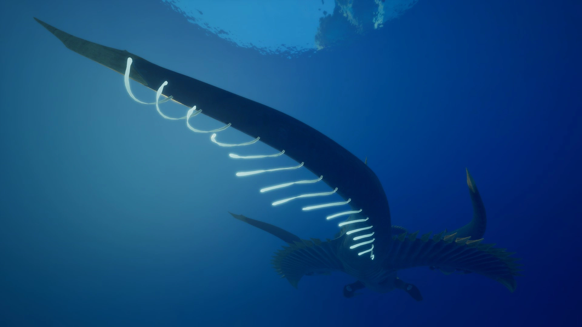 ⑫シヴァー・リヴァイアサン（Shiver Leviathan）の尾状器官の画像