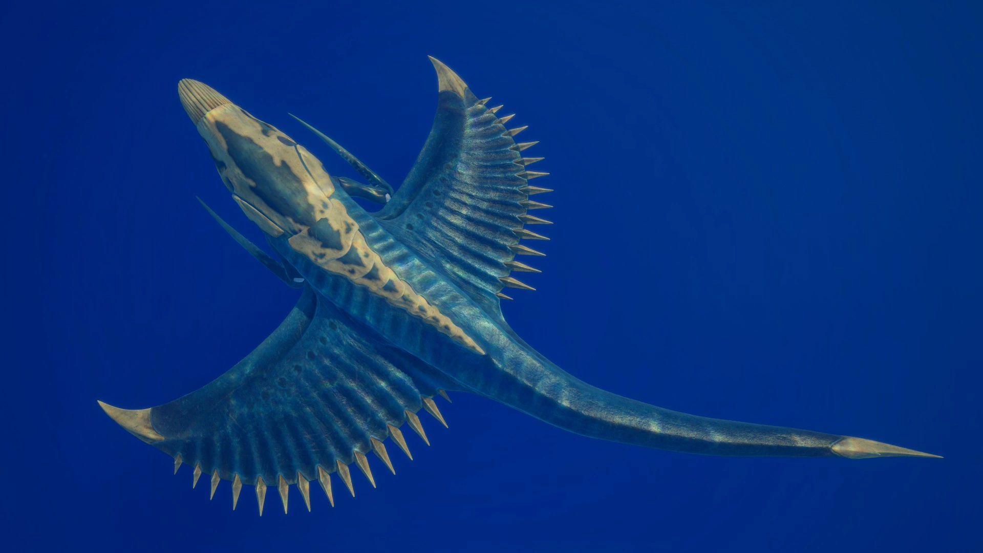 ⑱シヴァー・リヴァイアサン（Shiver Leviathan）の背面（オス）の画像