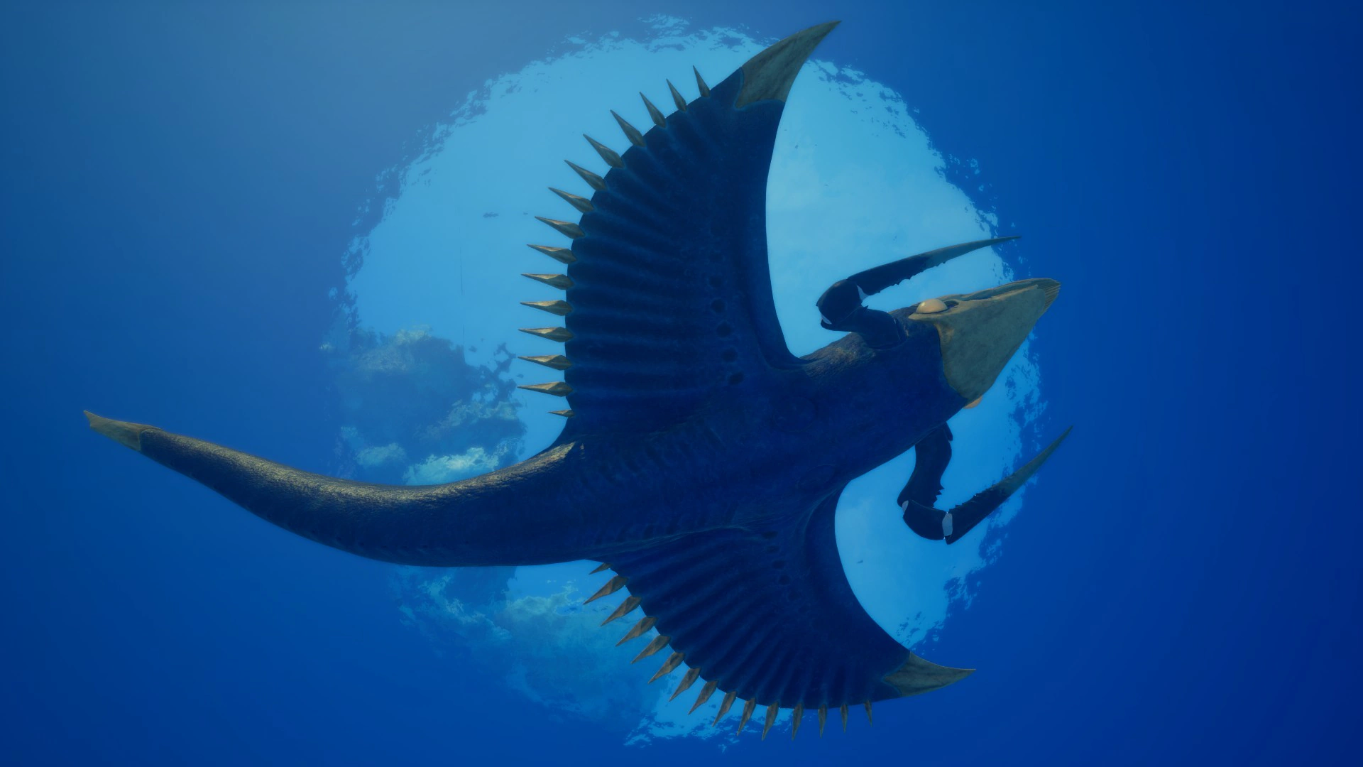 ⑲シヴァー・リヴァイアサン（Shiver Leviathan）の腹面（オス）の画像