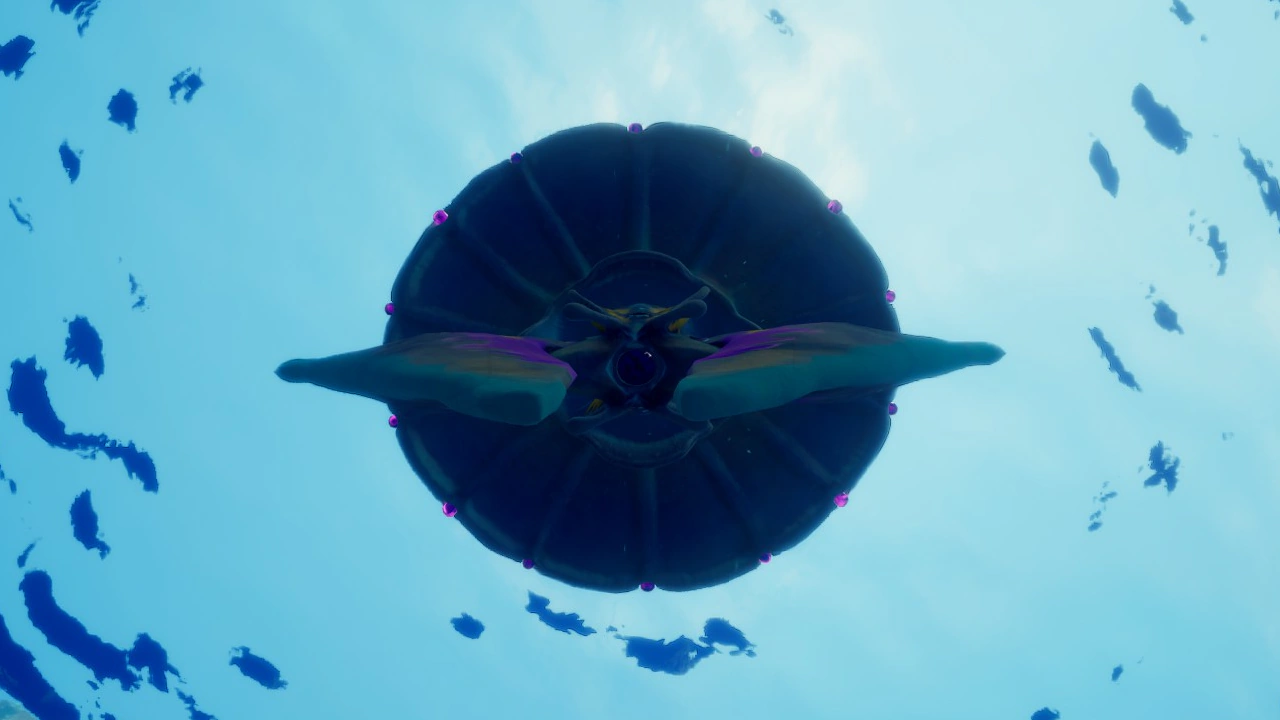 ③サージ・ゼリー（Surge Jelly）の底面の画像