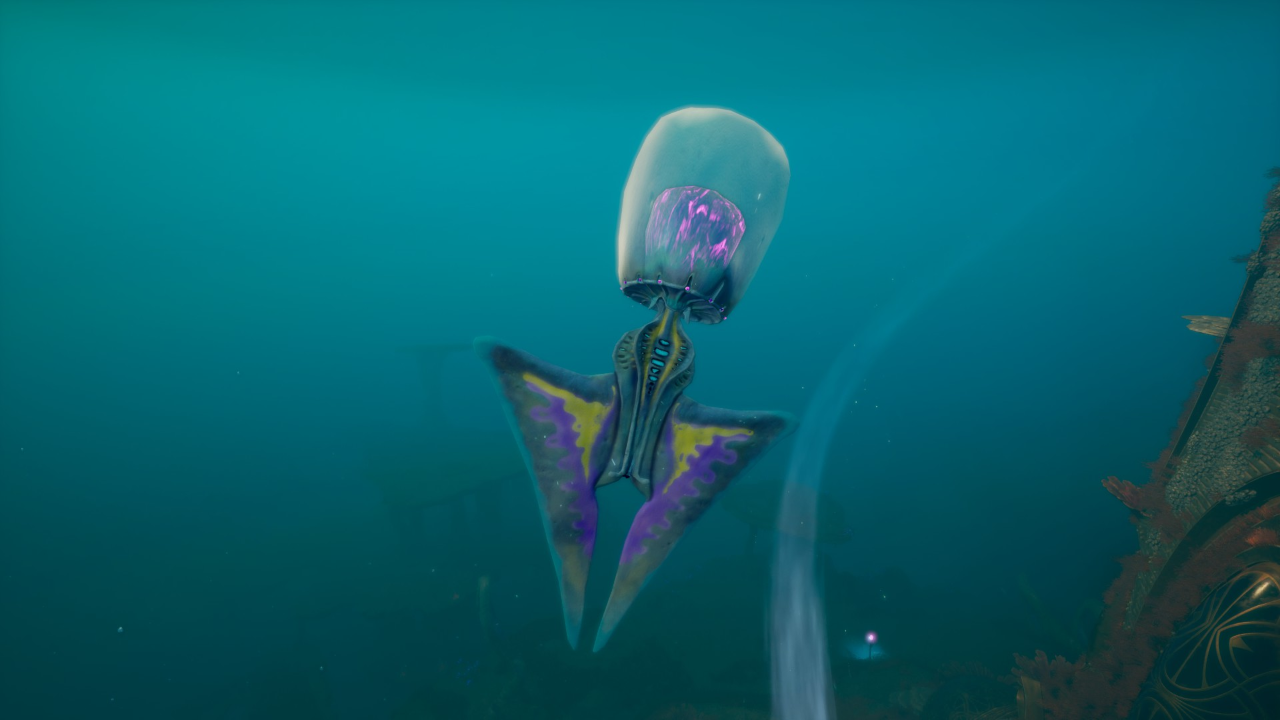 ④サージ・ゼリー（Surge Jelly）の収縮時の画像