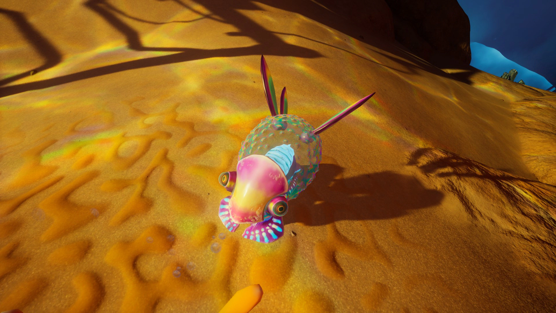 ウミウシ（Water Slug）の威嚇中の画像