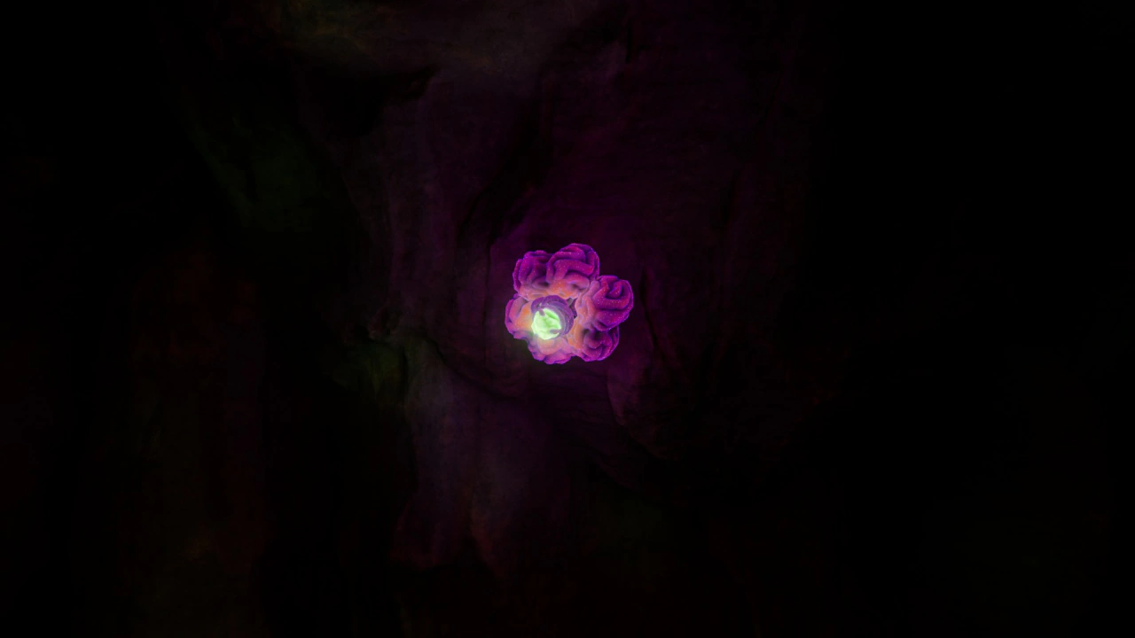 ⑧アシッド・ライオン（Acid Raion）の夜間の様子の画像